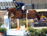 DEL CISTIA DEAUVILLE CampITA2013- S5 0586 : Campionati Italiani 2013, Cattolica, DEAUVILLE B.B., DEL CISTIA MARCO, Horse Riviera Resort, foto di Stefano Secchi ©